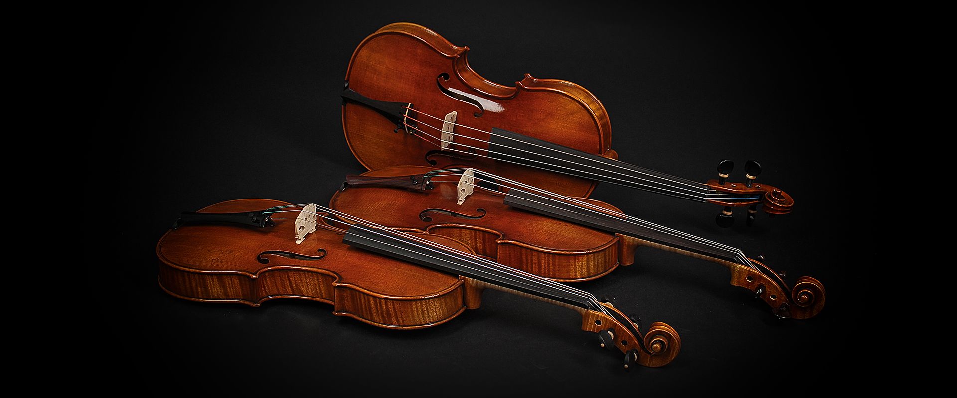 Roderich Paesold【バイオリンセット】 PA801J 1/4 子供用バイオリンセット】Roderich Paesold PA-801J 1/4サイズ
