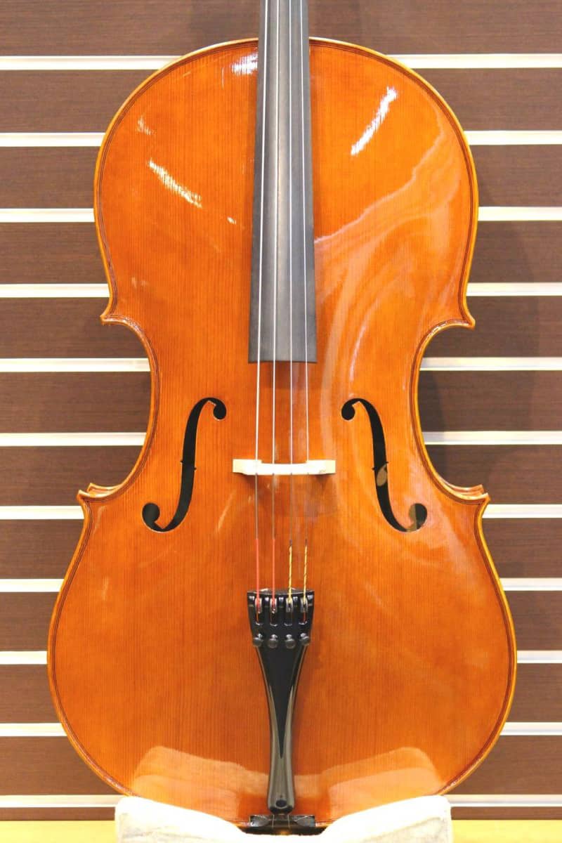 Angelo Sperzaga Cello