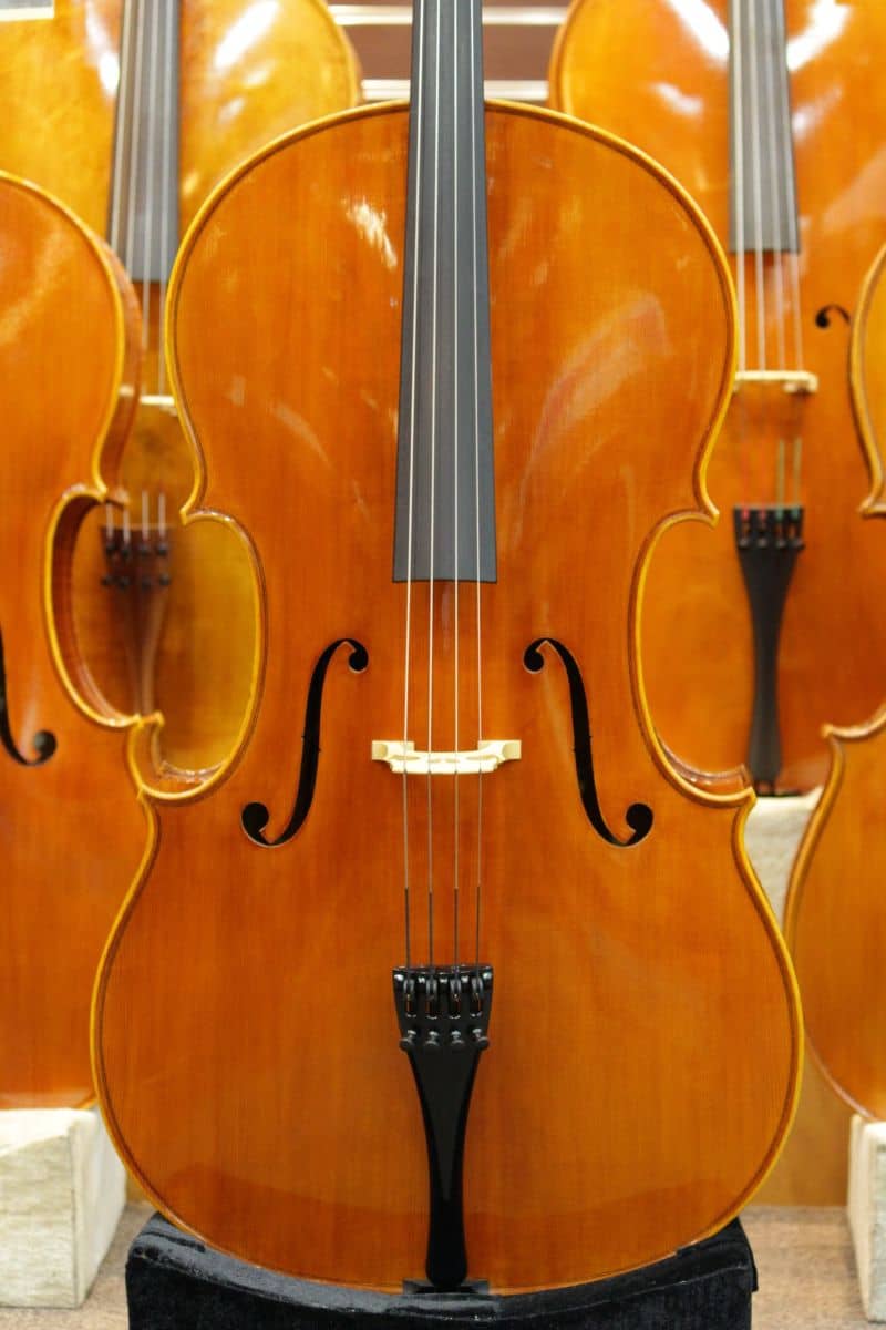 Alberto Stella Cello