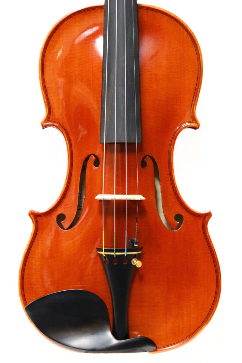 Andrea Solzi Violin