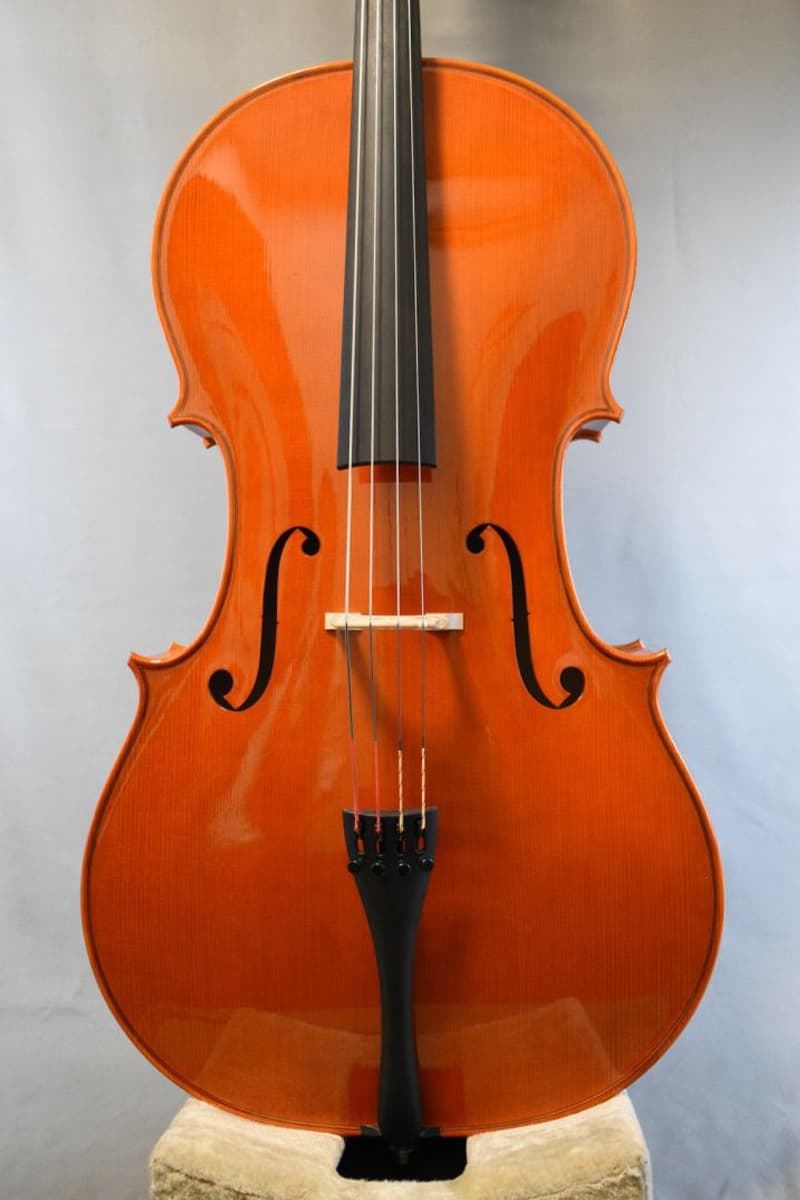 Sandro Asinari Cello