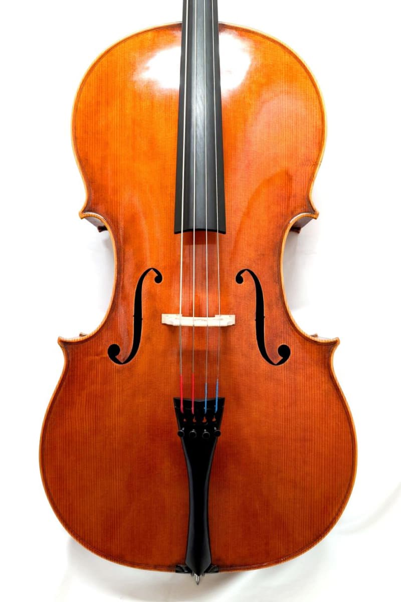Matteo Crotti Cello
