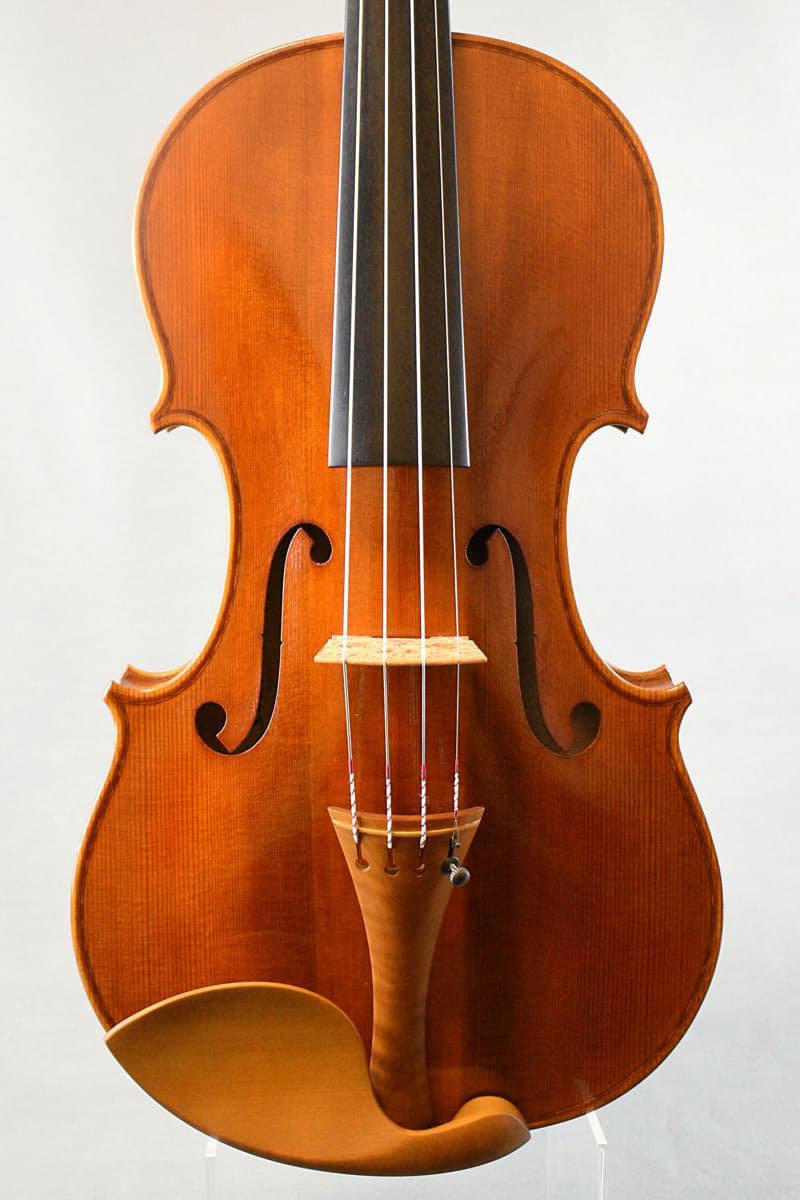 Luca Pasquetto violin