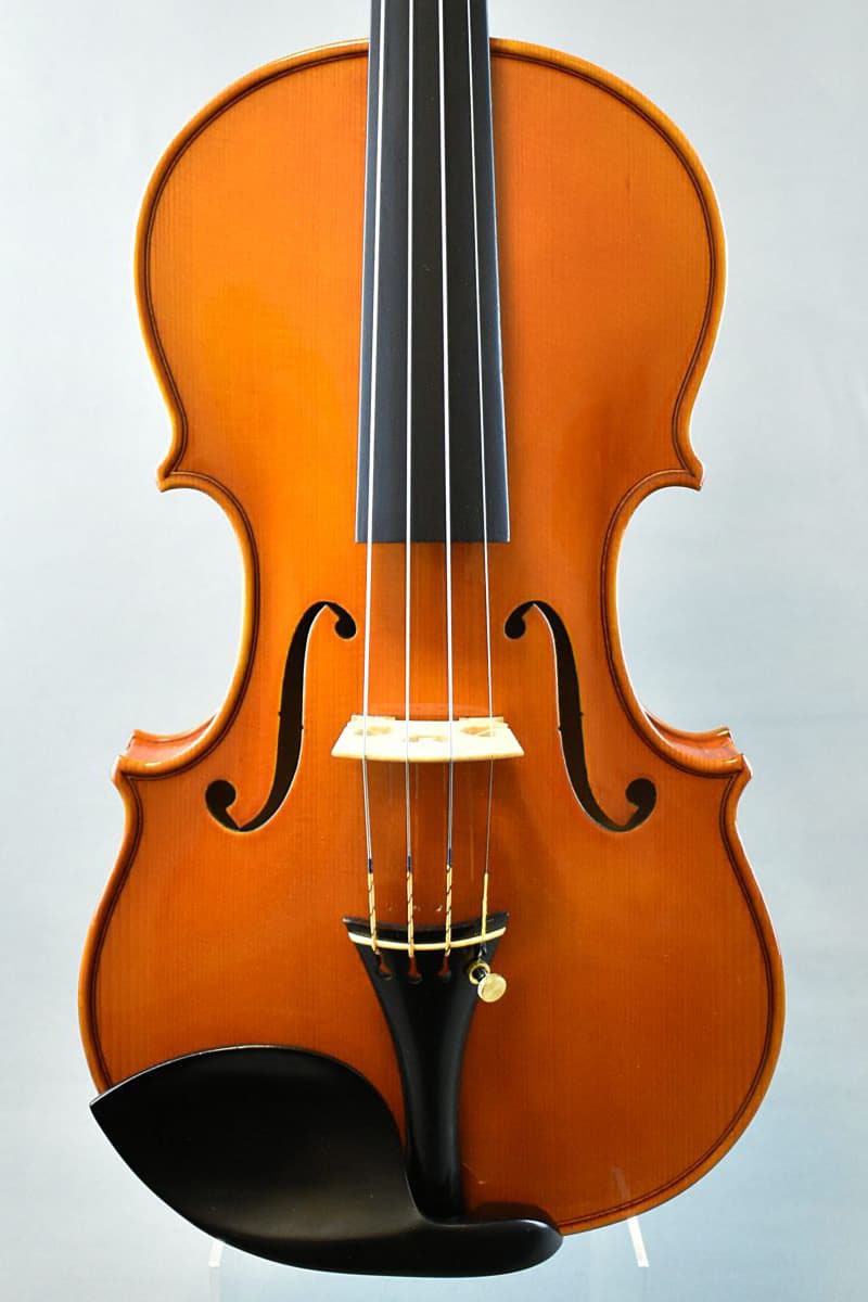 Luca Pasquetto violin