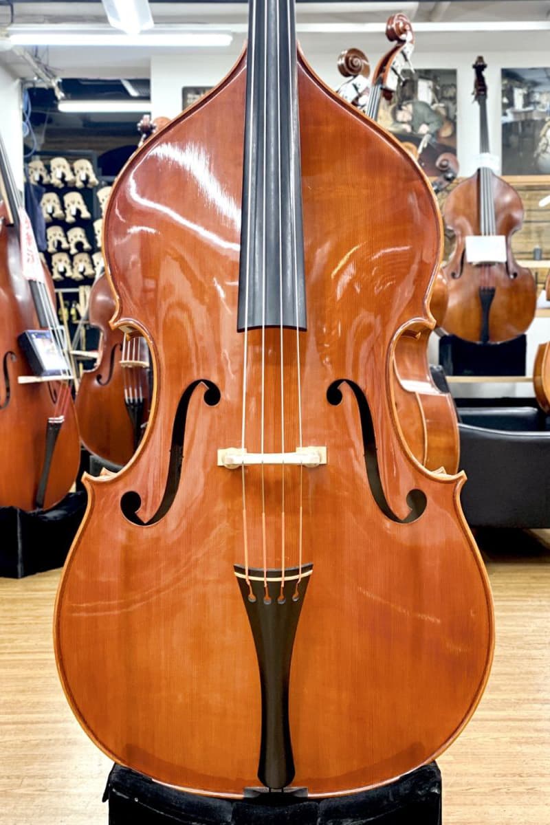 Giorgio Grisales Contrabass