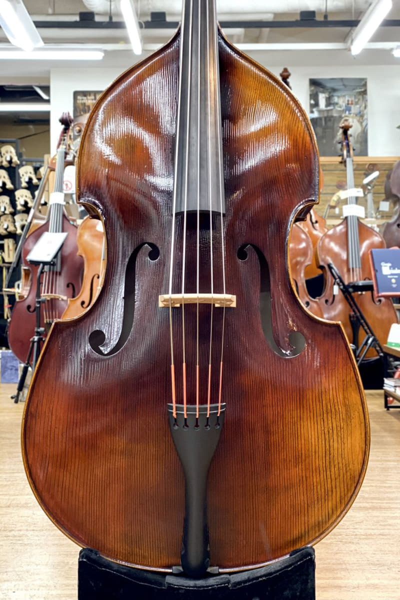 Bjorn Stoll Contrabass
