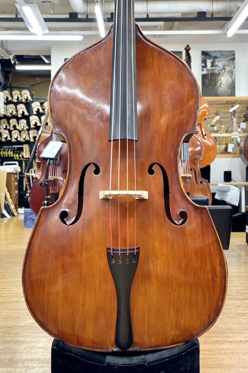 No Label Gamba Contrabass