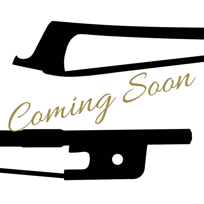 Violin Bow