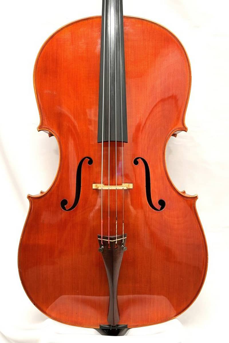 Francesco Bissolotti cello