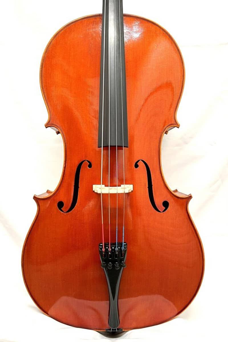 Stefano Trabucchi cello