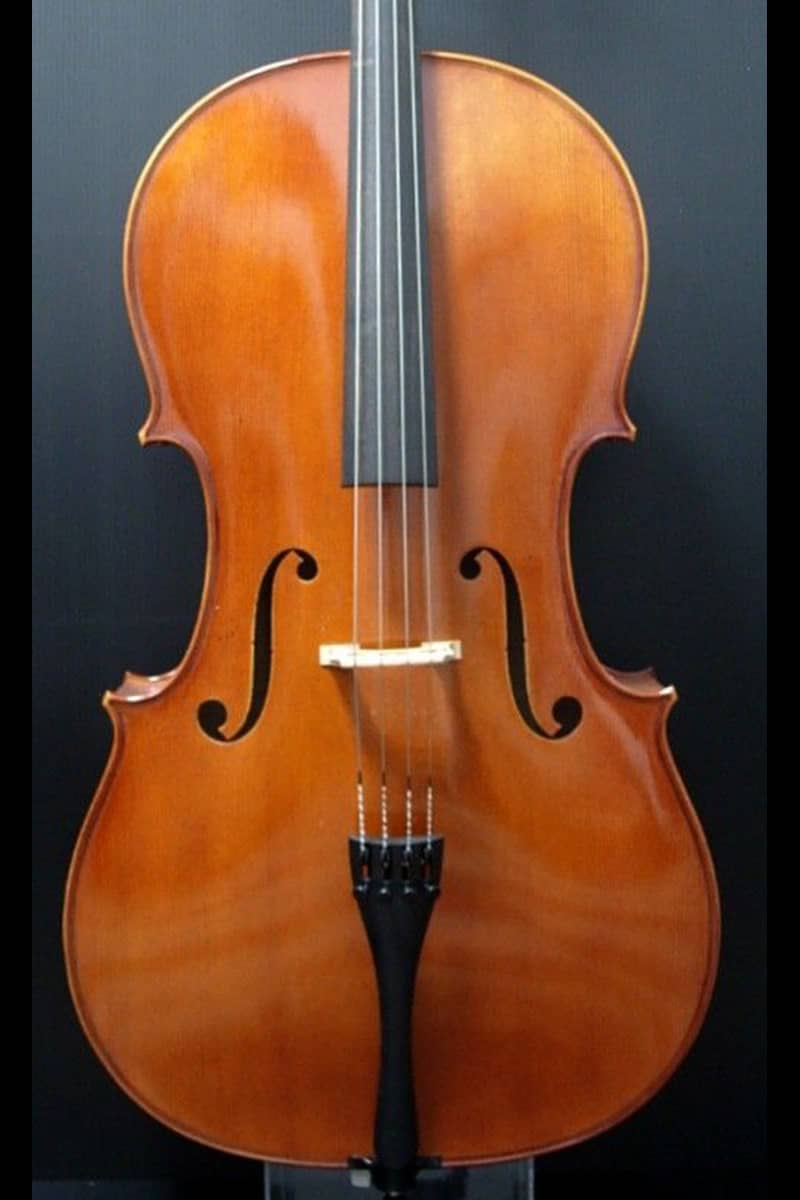 Roderich Paesold cello