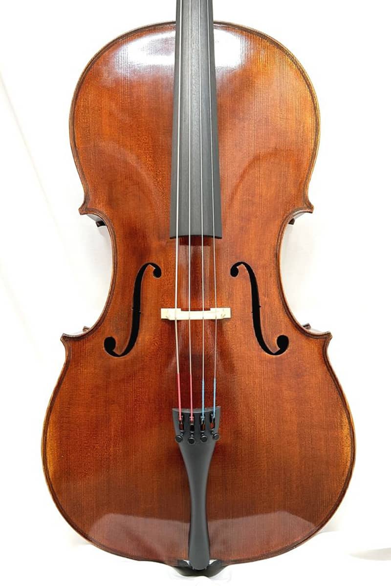Rudolph Fiedler cello