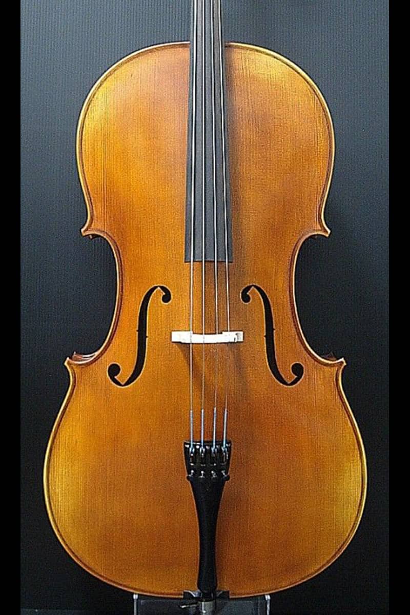 Lothar Semmlinger cello