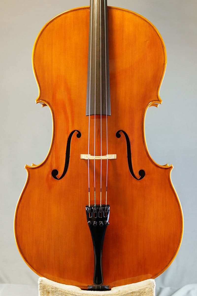 Giorgio Grisales cello