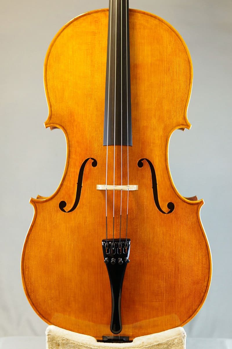 Stefano Trabucchi cello