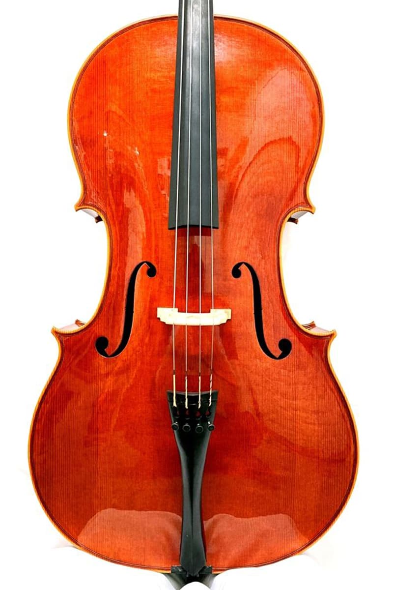 Alessandro Scandroglio cello