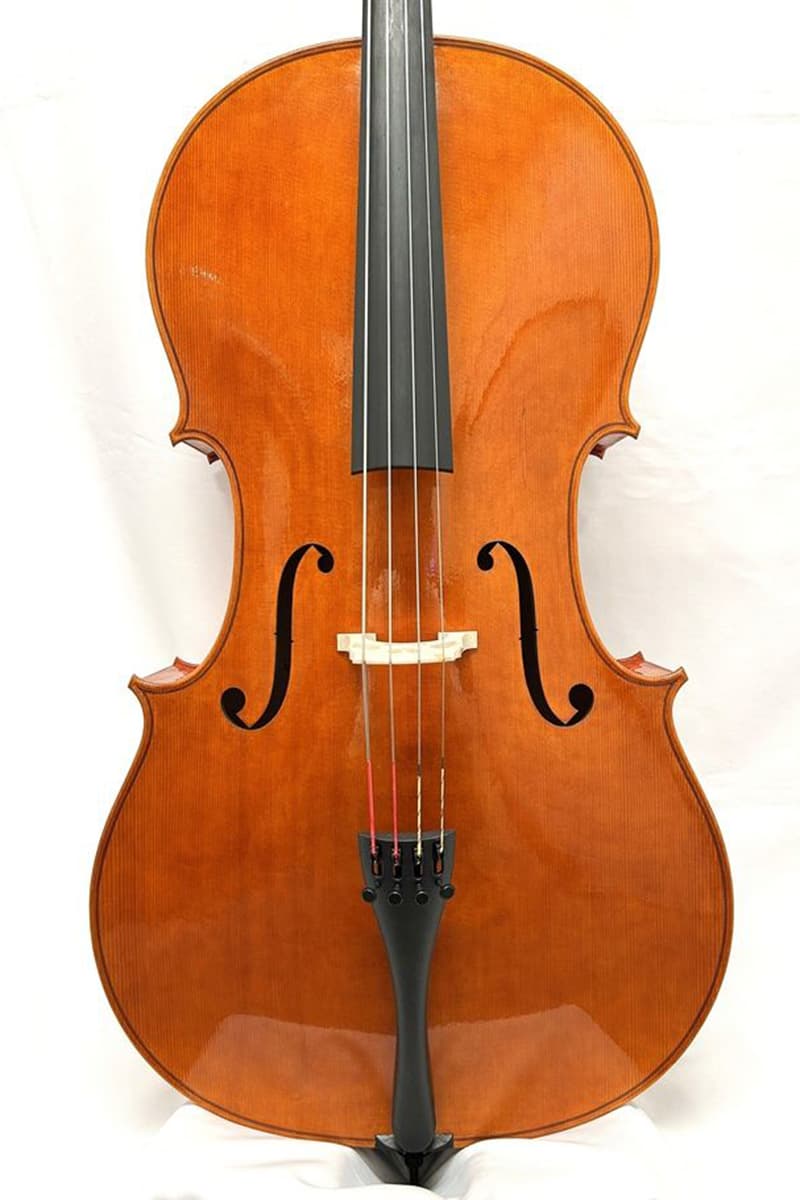 Benedicte Friedmann cello