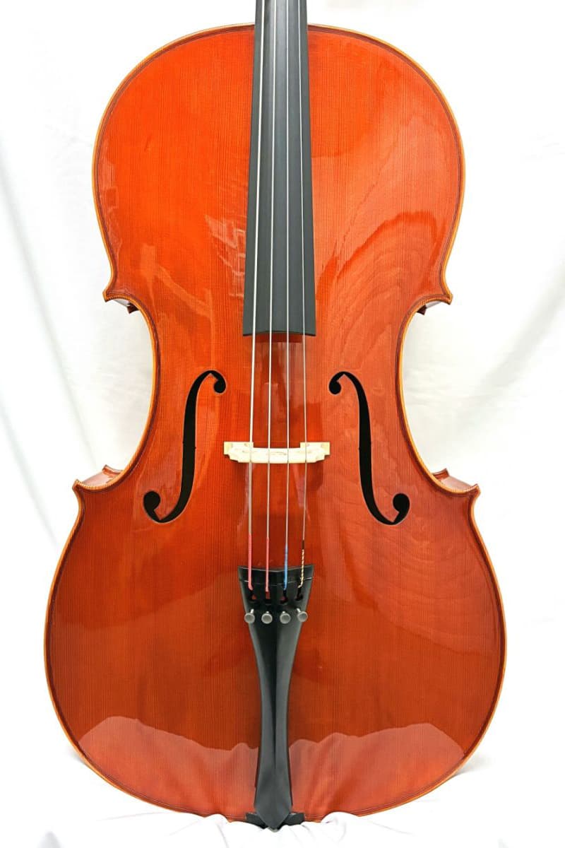 Carlo Saverio Cane  cello