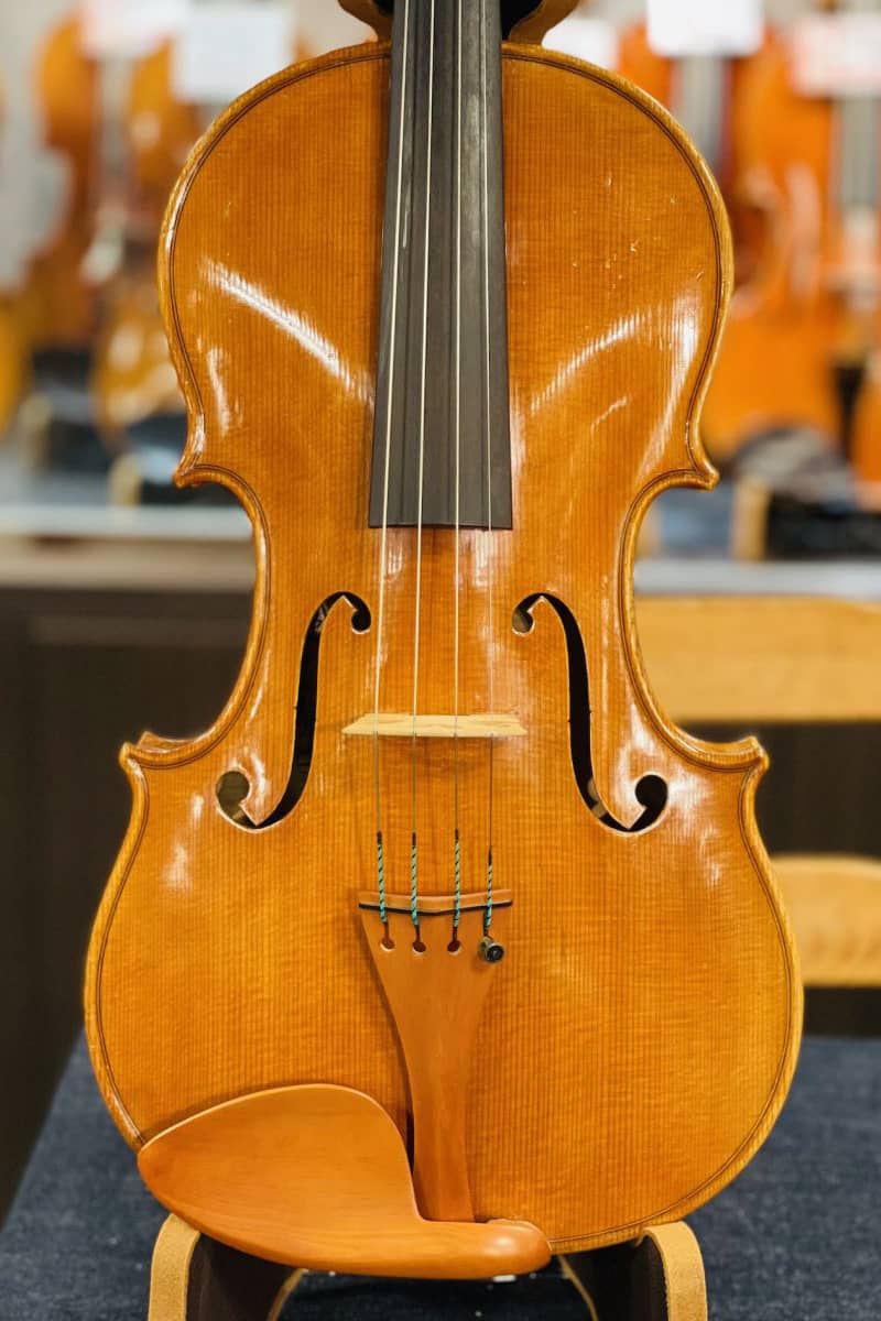 Gio Batta Morassi viola