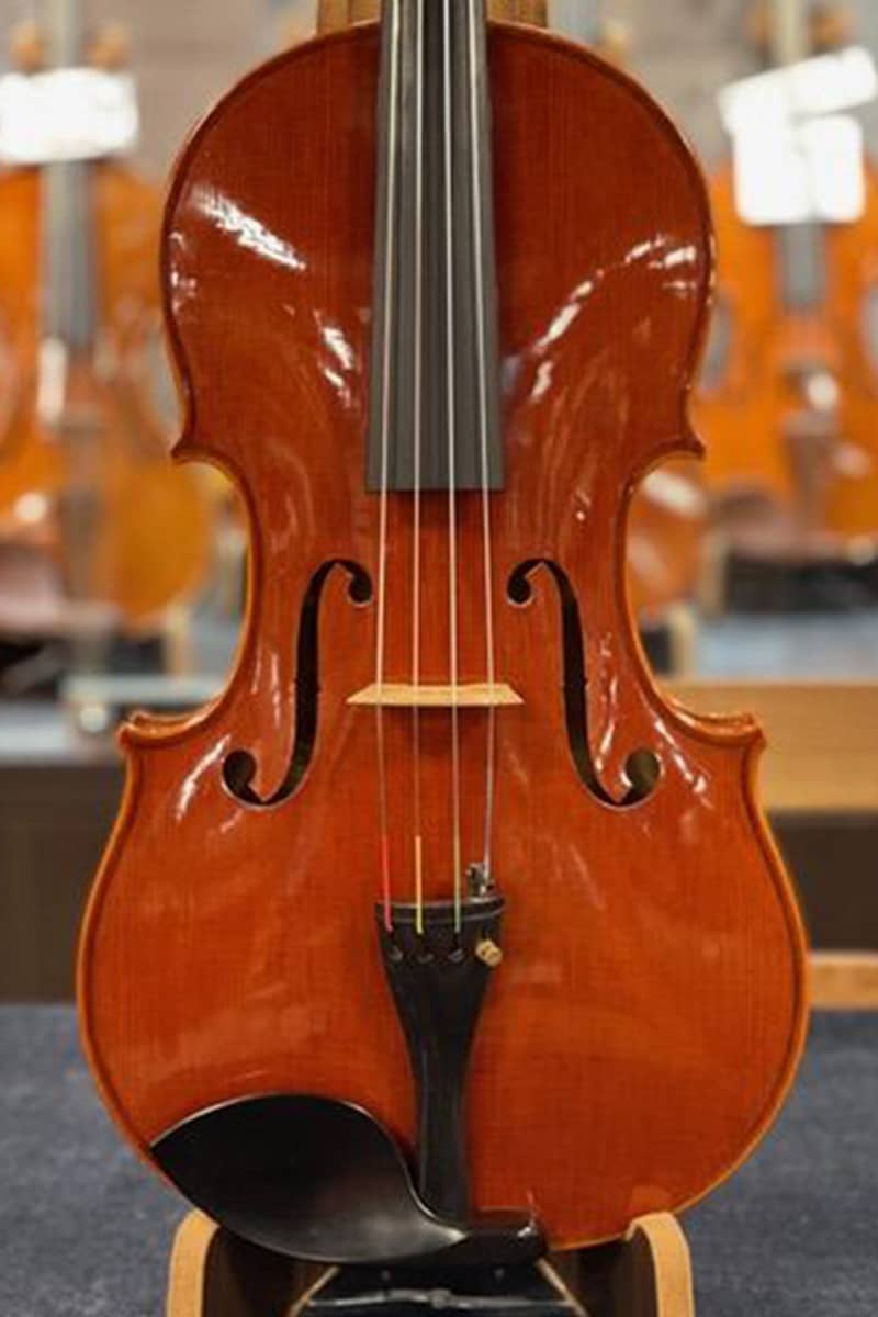 Francesco Bissolotti viola