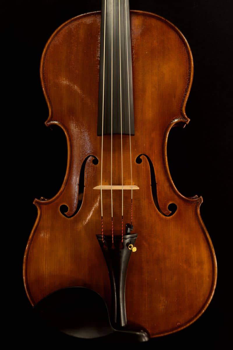 Genuzio Carletti viola