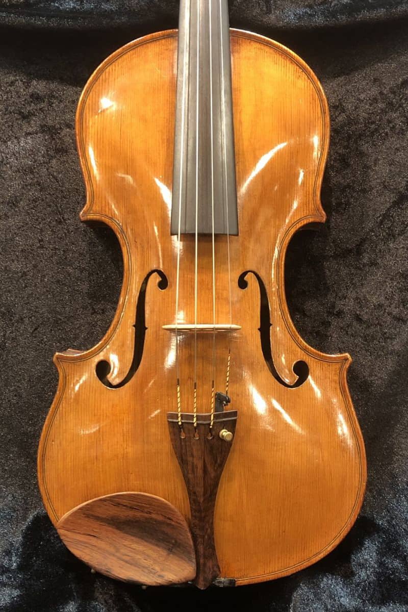 Stelio Maglia viola