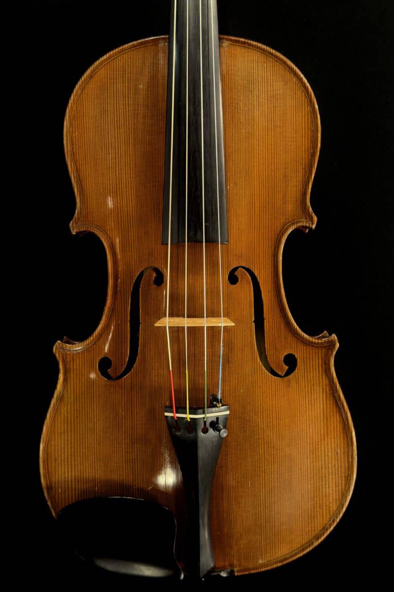 Zimmer K Otto Label viola