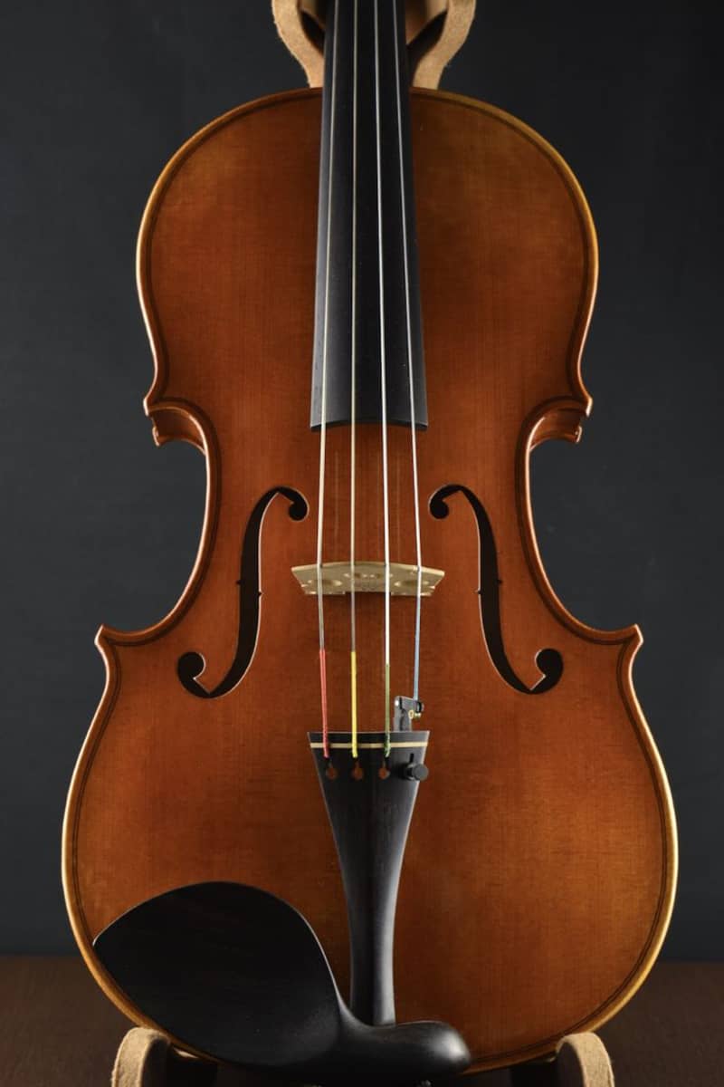 Roderch Paesold viola