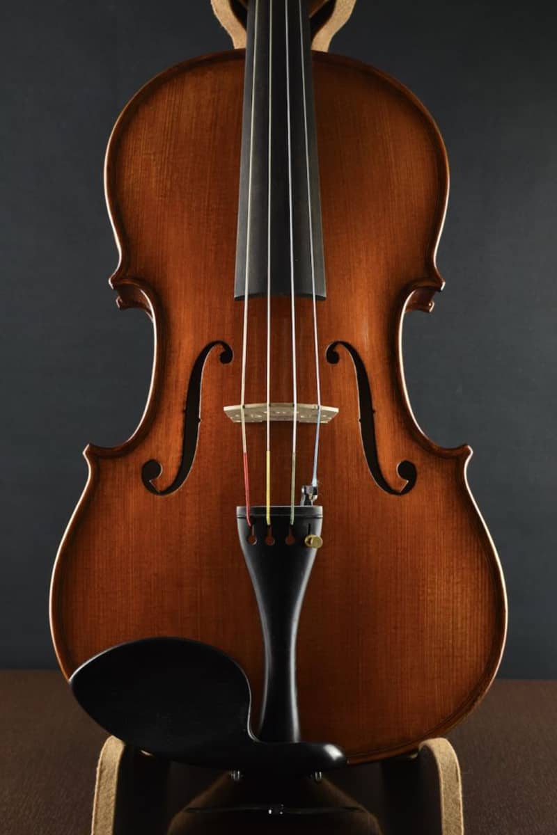 Gliga viola