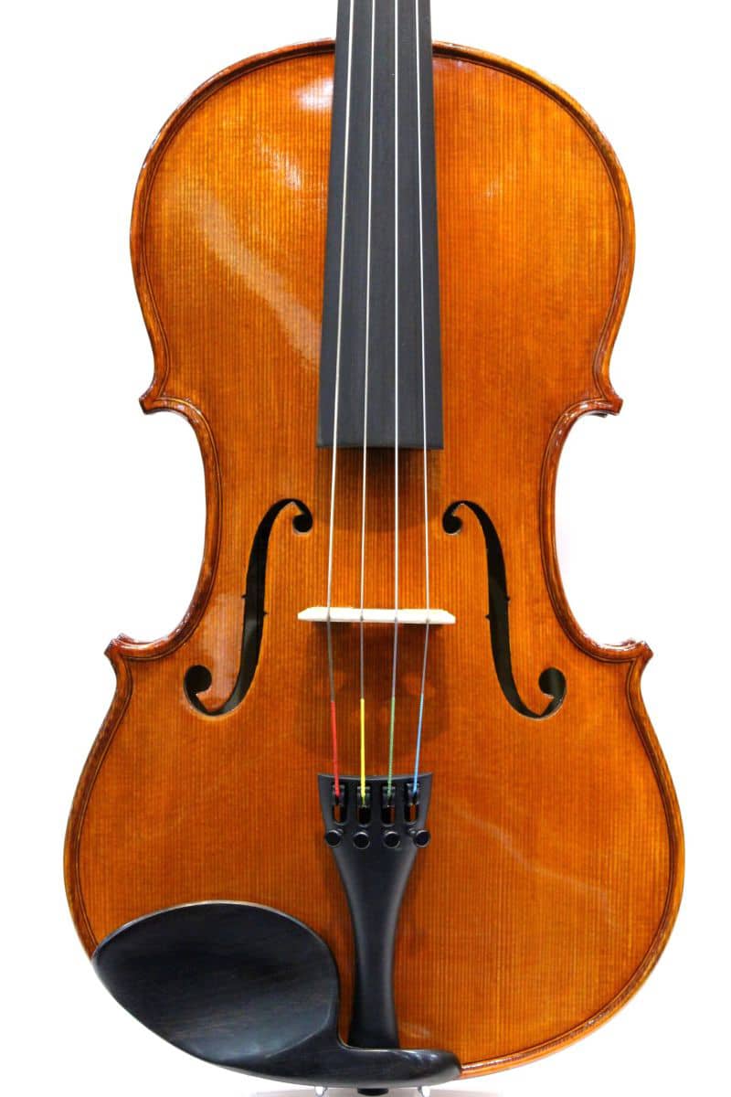Gliga viola