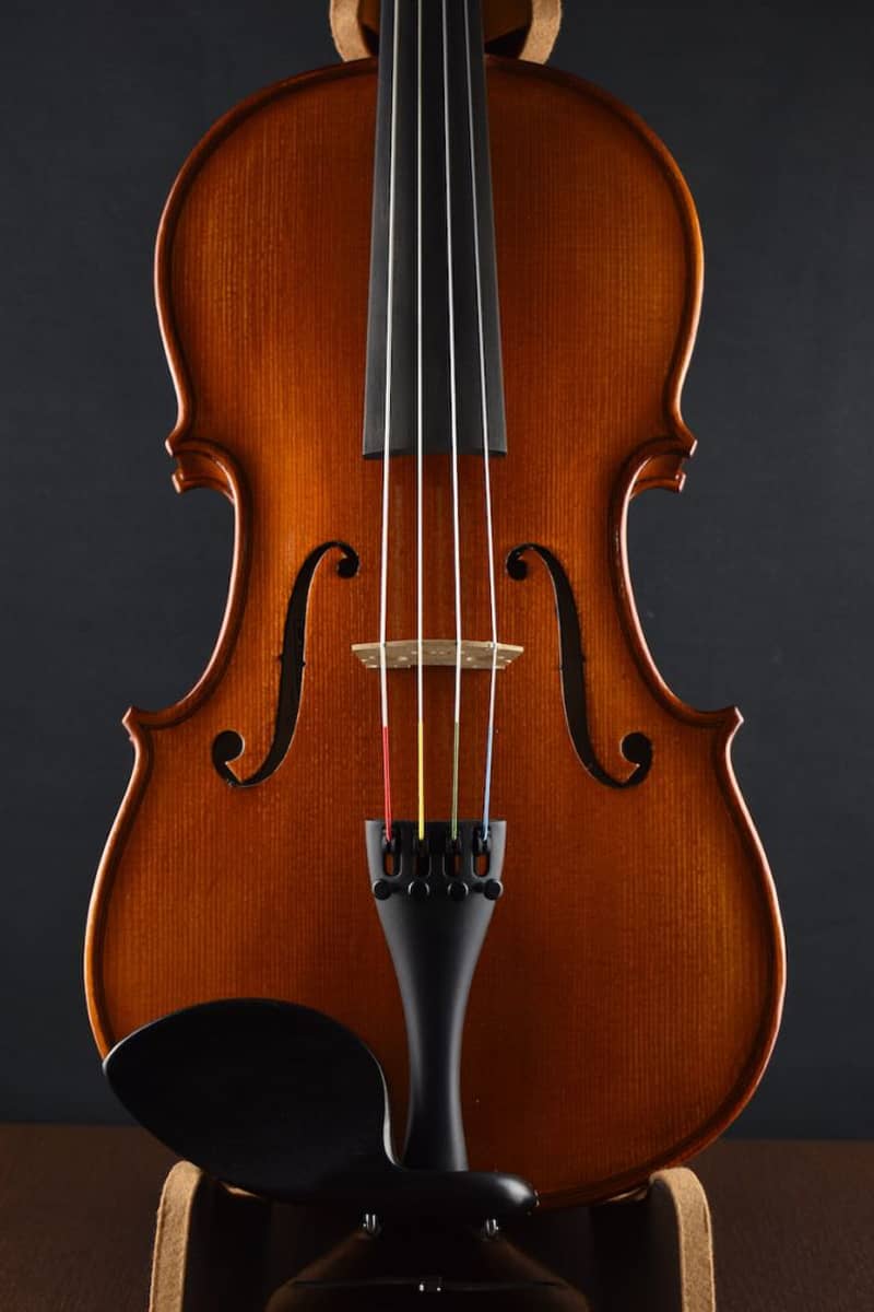 Gliga viola