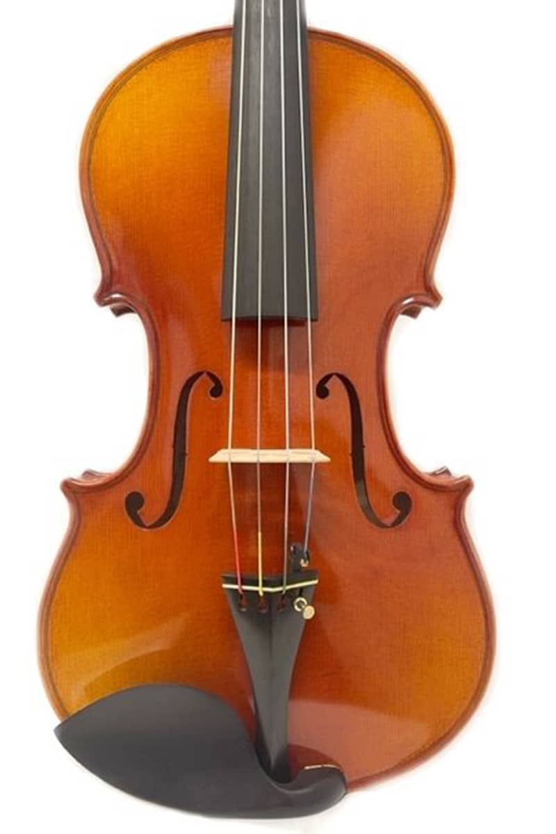 Nicola Davidov viola