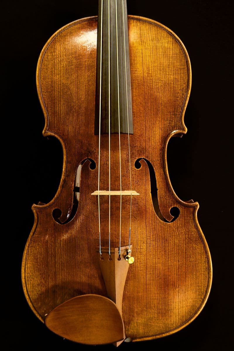 Andreas Haensel viola