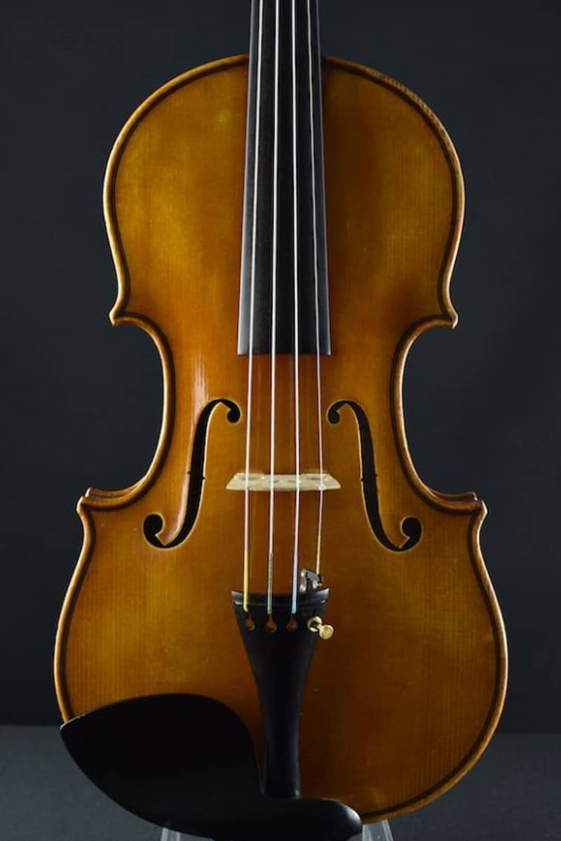 Georg Ullmann violin