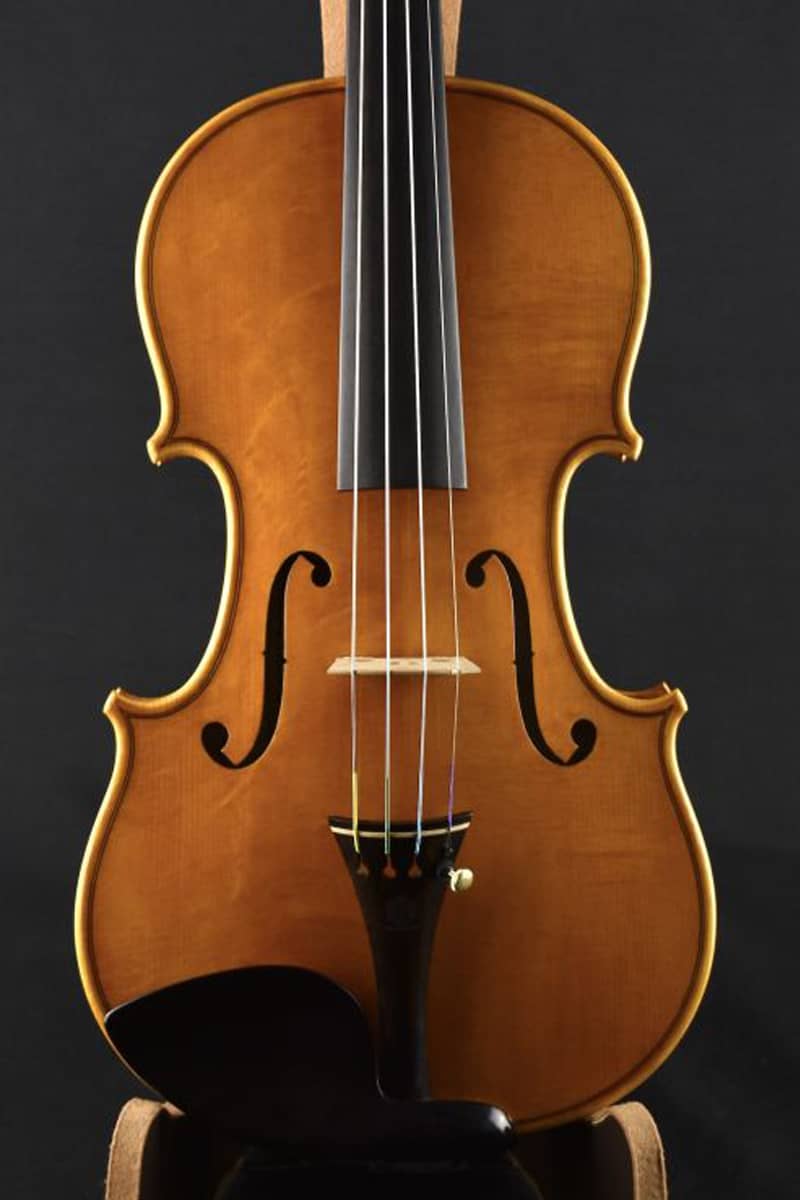 Francesco Bissolotti violin