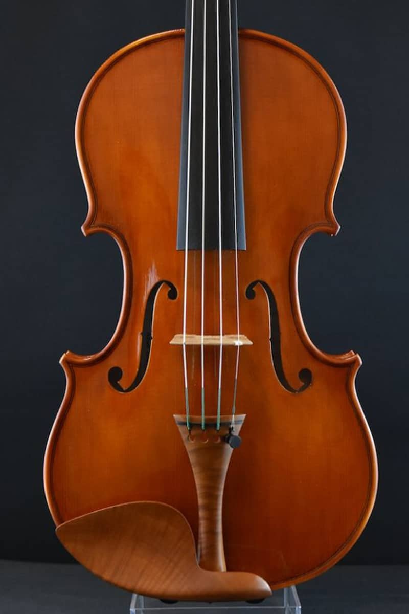 Piero Virdis violin