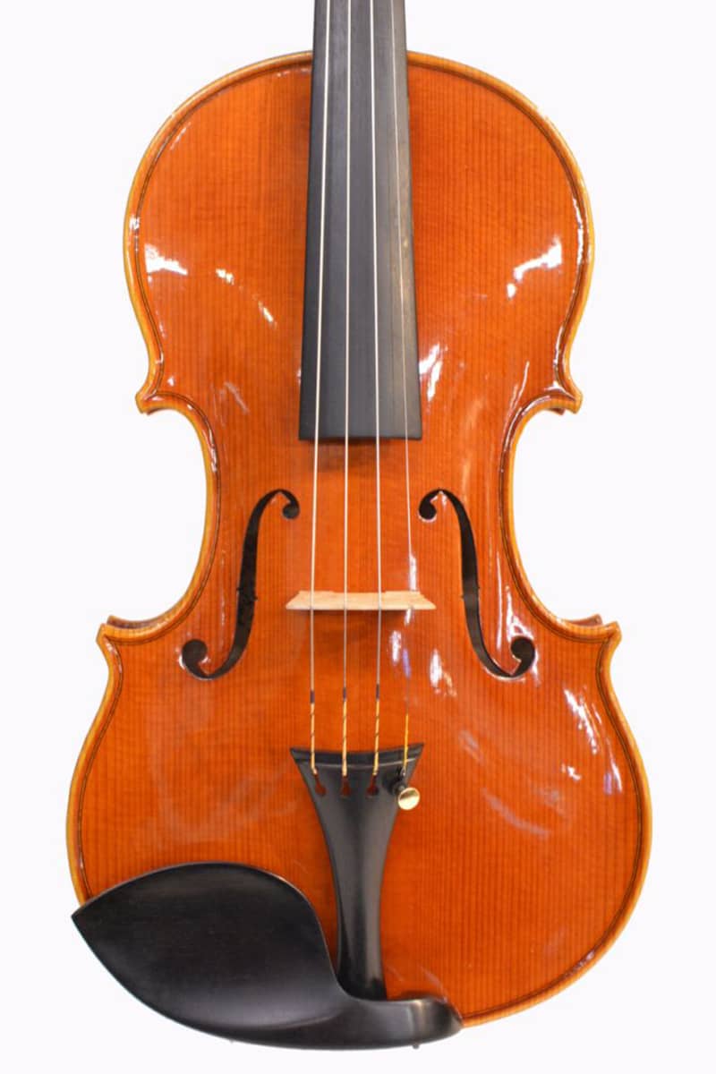 Carlo Saviero Cane violin