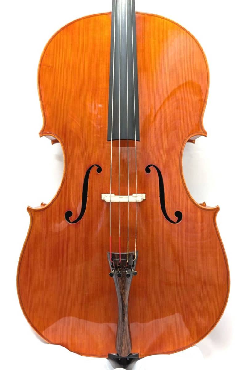 Francesco Bissolotti Cello