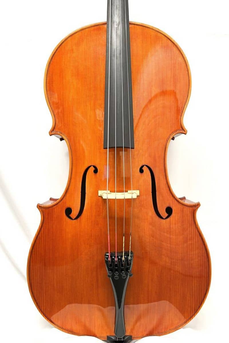Gabriele Pralea Cello
