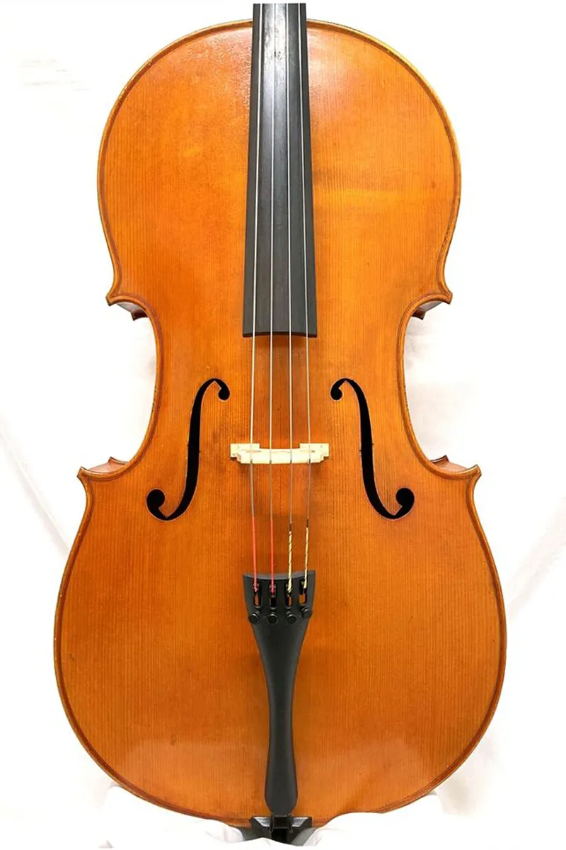 Mario Gadda Cello