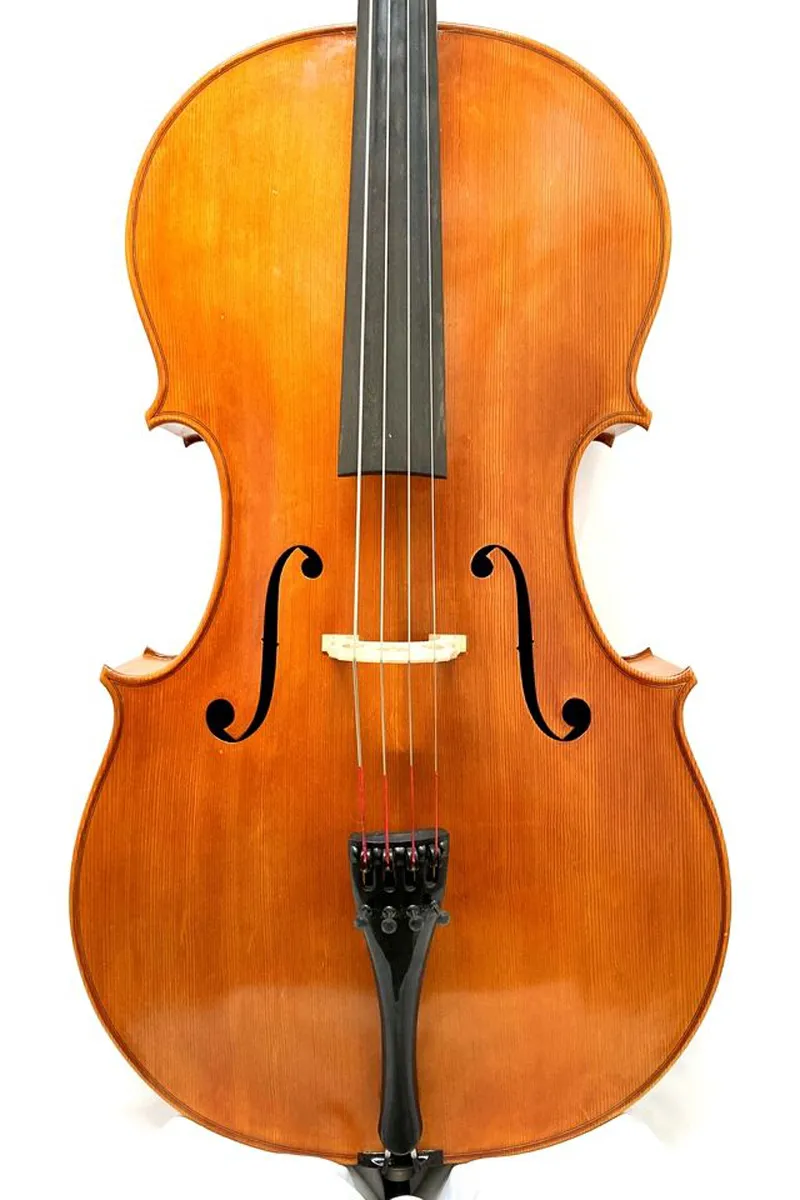 Paolo Vettori Cello