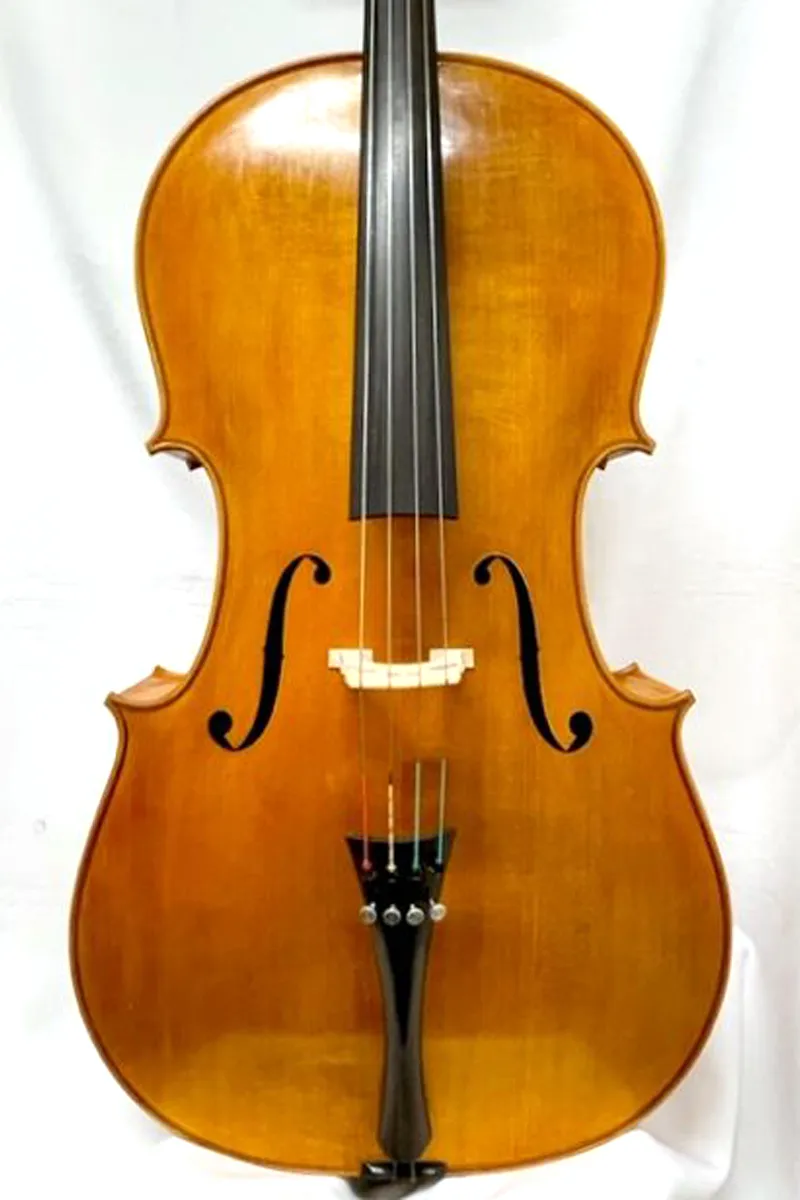 Riccardo Bergonzi Cello