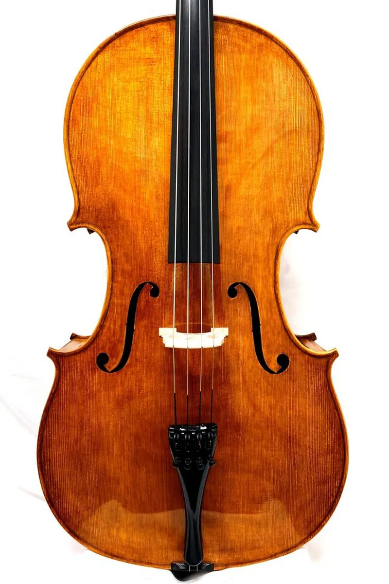 Stefano Trabucchi Cello