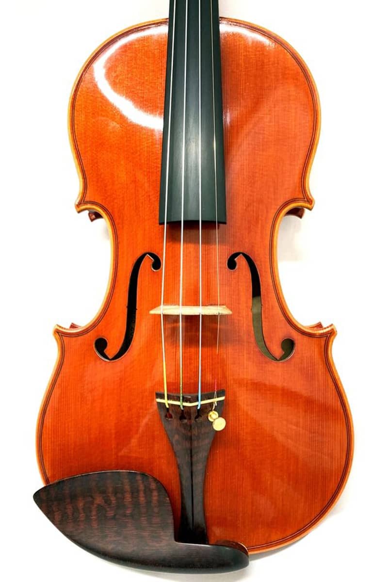 Francesco Bissolotti violin