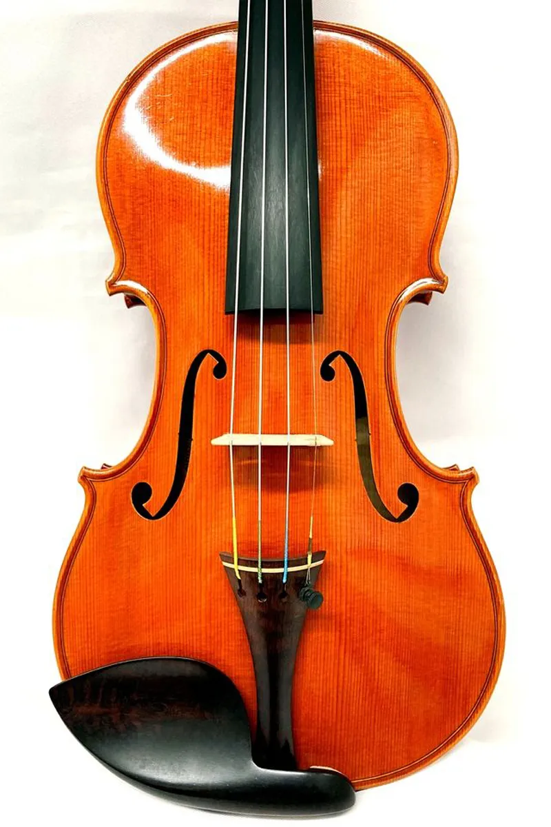 Francesco Bissolotti Violin