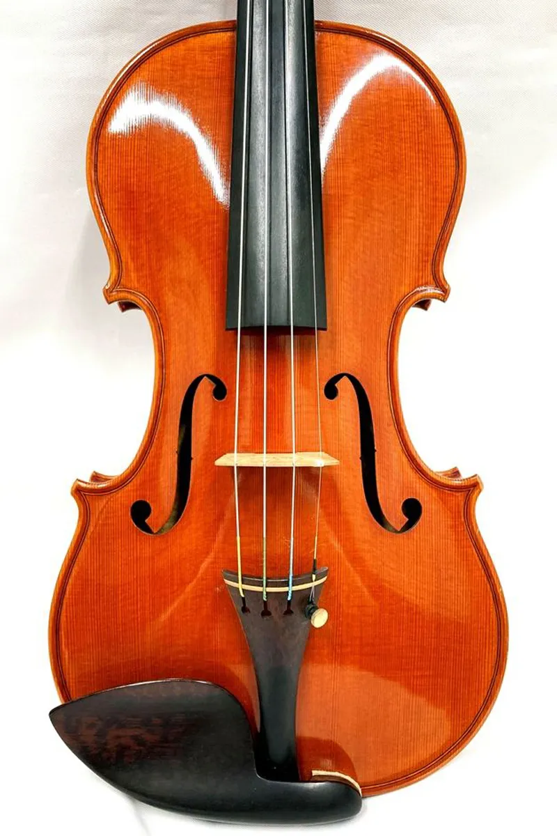Maurizio Bissolotti Violin